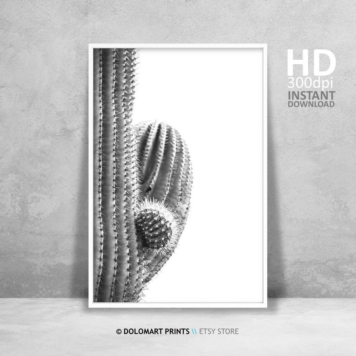 Cactus Print, Southwestern Rustic Farmhouse Art Print