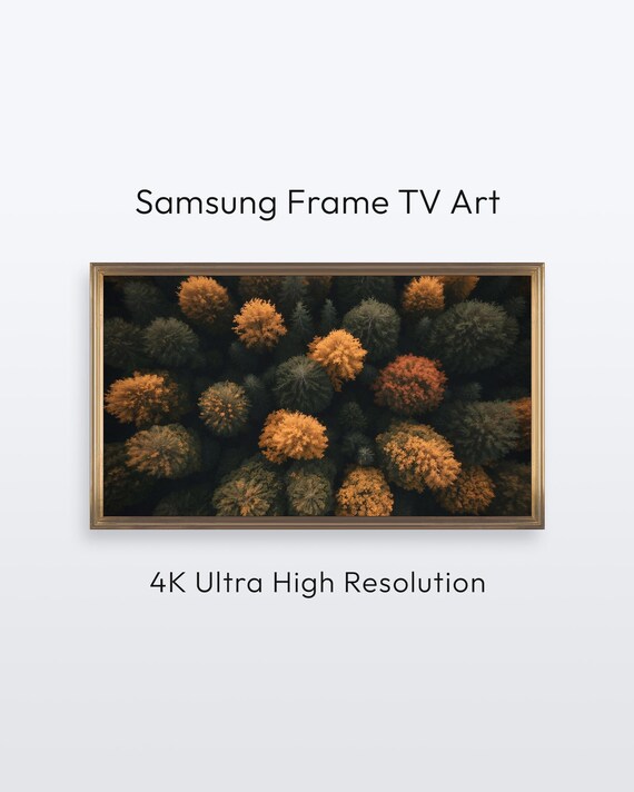 Samsung Frame Tv Art Fall Forest Canopy Aerial Autumn Trees 4k Print