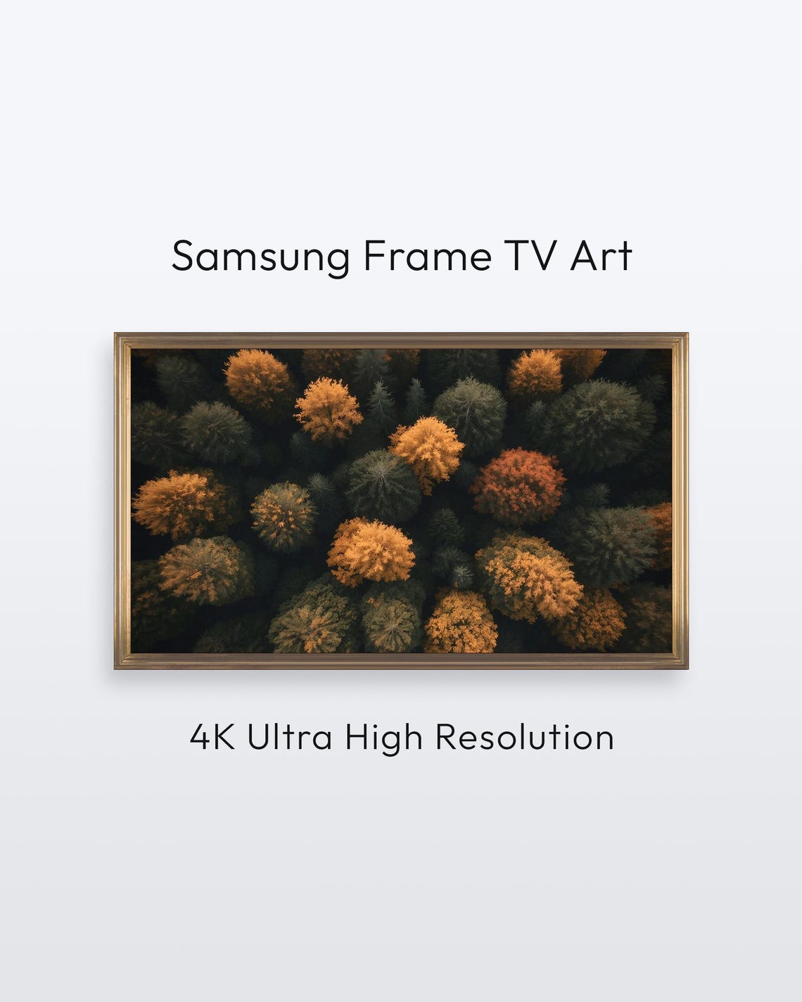 Fall Forest Canopy Aerial Autumn Trees Photo Wall Art for Frame TV