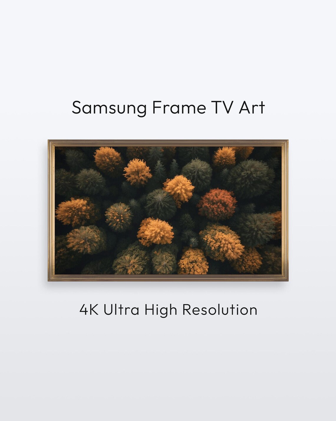 Samsung Frame Tv Art Fall Forest Canopy Aerial Autumn Trees 4k Print