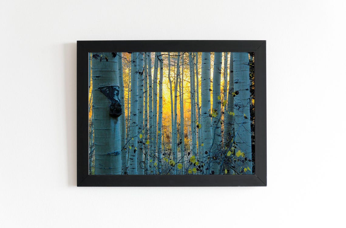 Aspen Forest Art - Image 2