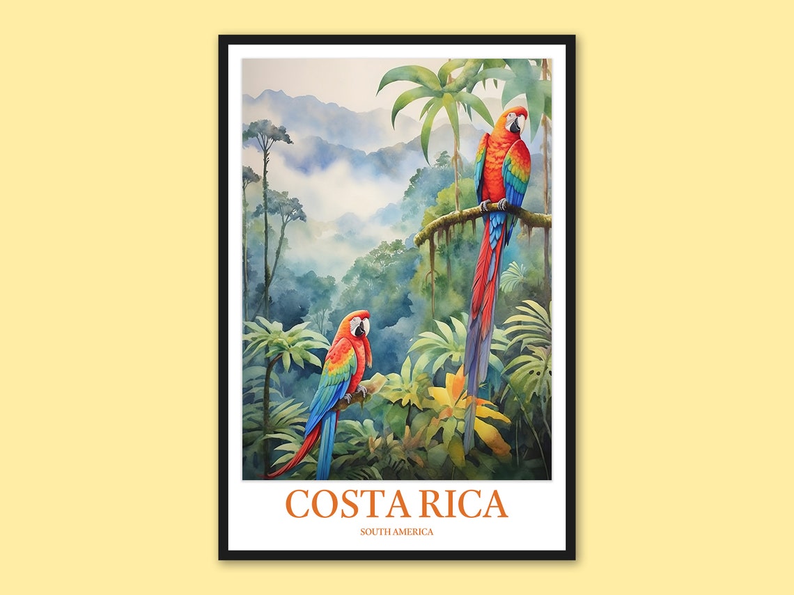 Costa Rica Print Exotic Wildlife Monteverde Cloud Forest Wall Art