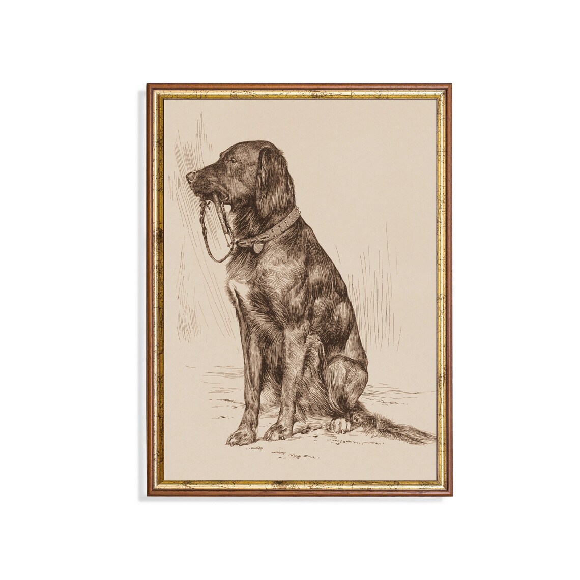 Vintage Dog Portrait Antique Drawing Art Print