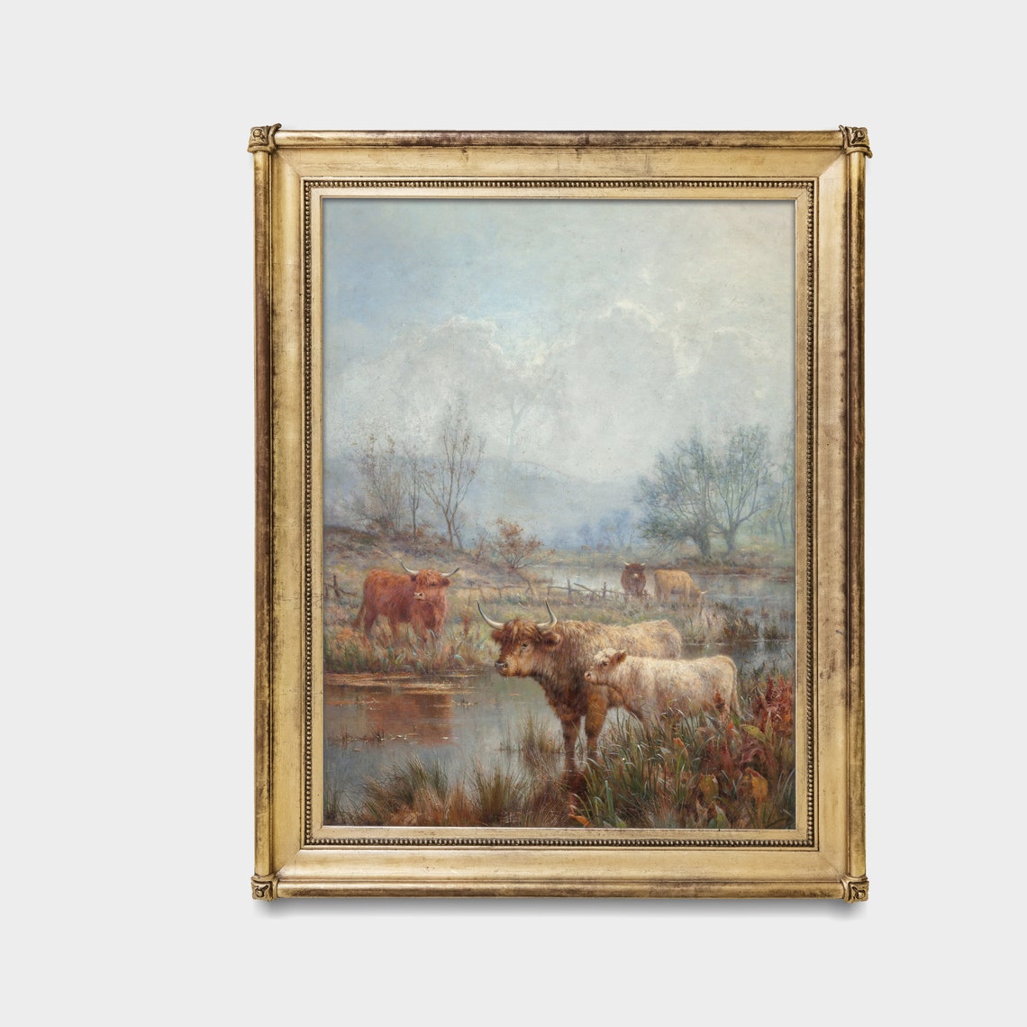 Highland Cattle with a White Calf by a Misty Stream Farm Poster - Image 3