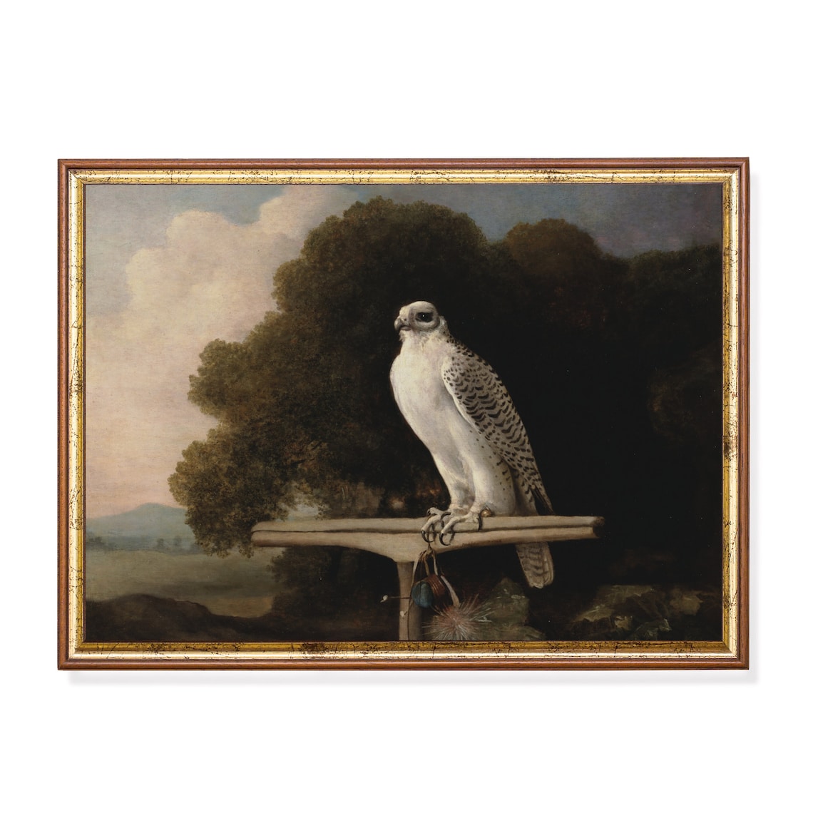 Vintage Falcon Art Print, Rustic Farmhouse Decor