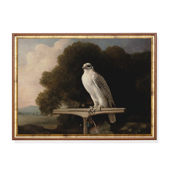 Printed And Shipped Vintage Bird Painting Antique Falcon Print Moody Rustic Art Farmhouse Decor Fine Art Print Physical Prints