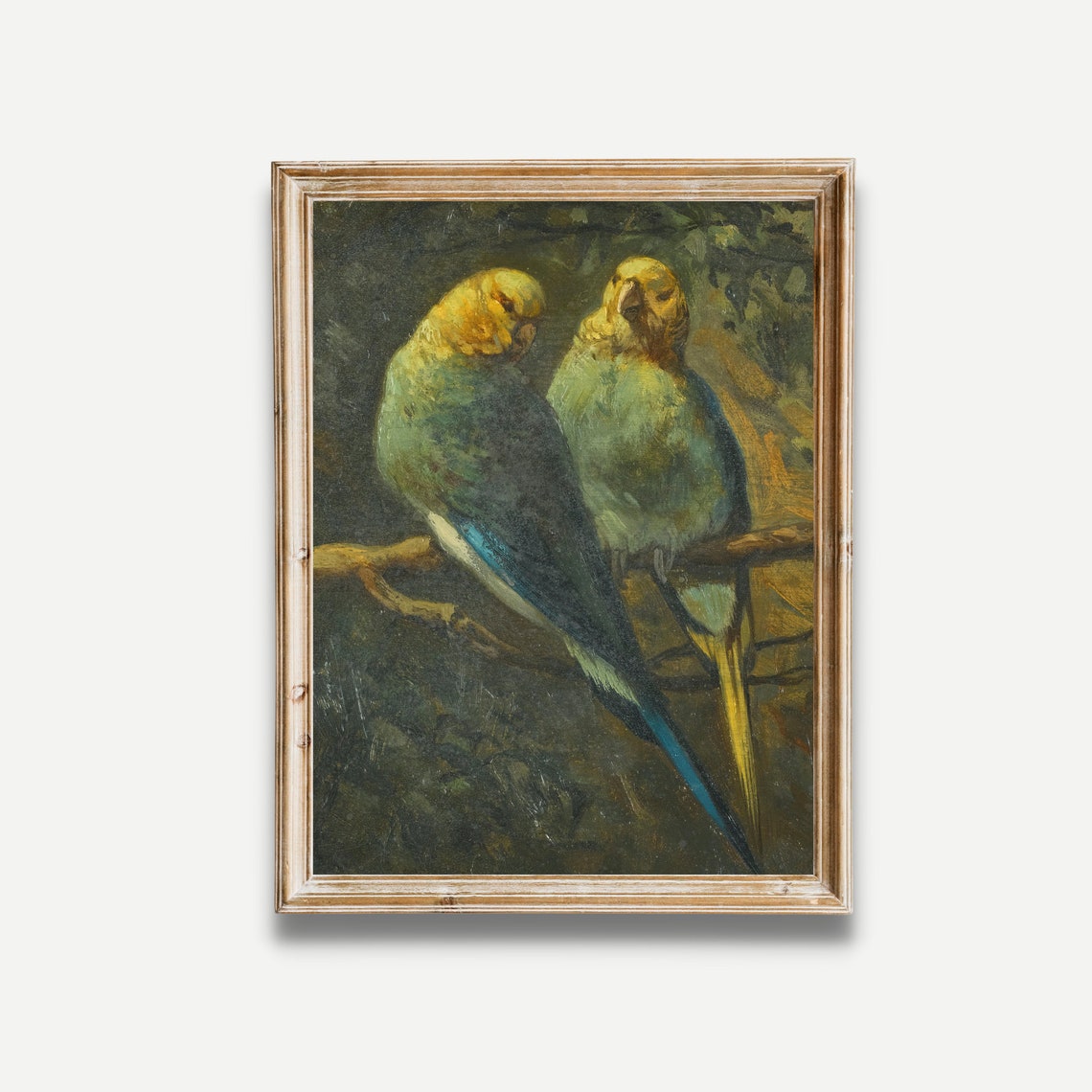 Pair of Colorful Parrots Perched Together in Darkness Poster - Image 3