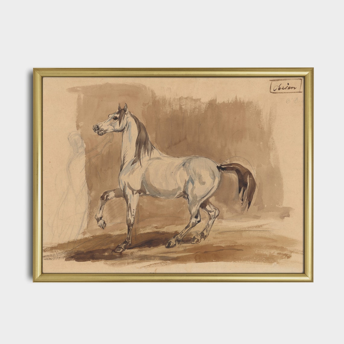 Grey Arabian Horse Prancing in Watercolor Study Equestrian Poster - Image 5
