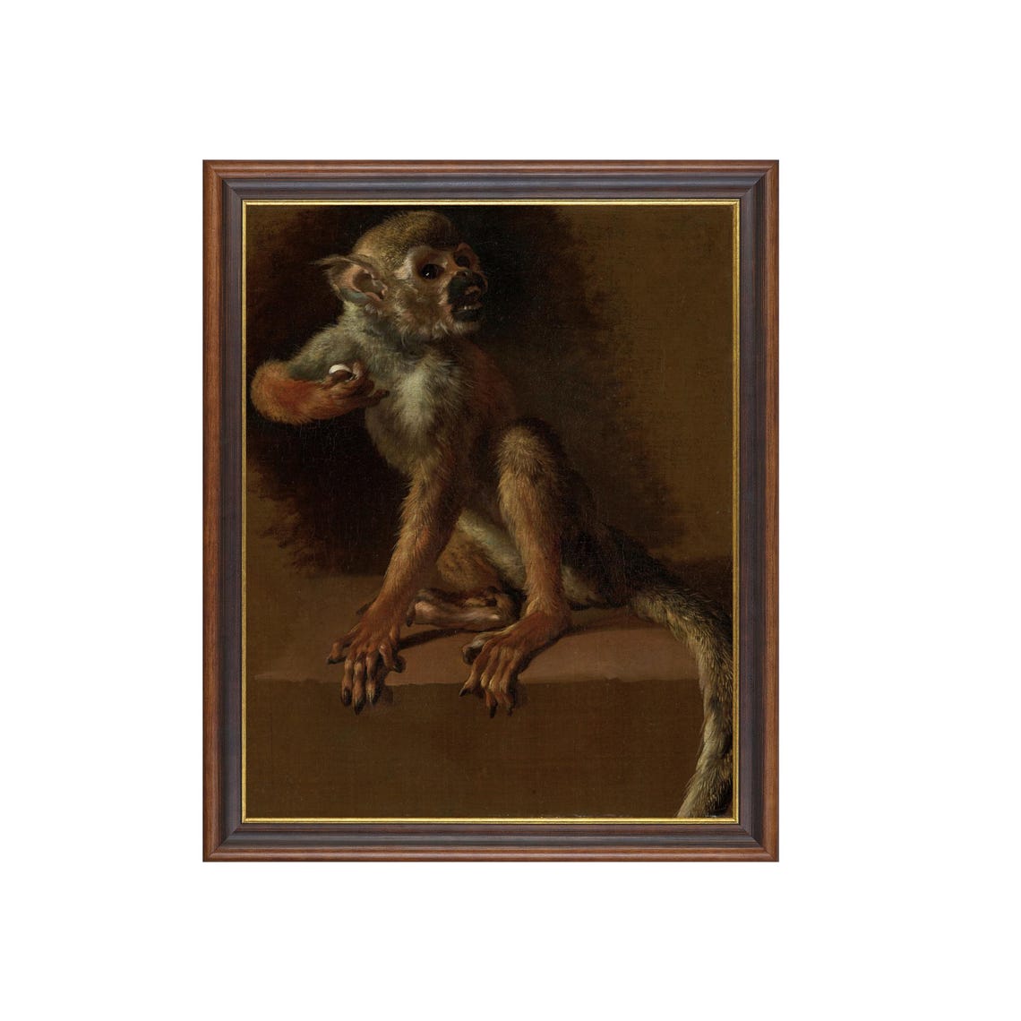 Seated Monkey Portrait Dark Moody Vintage Animal Portrait Poster