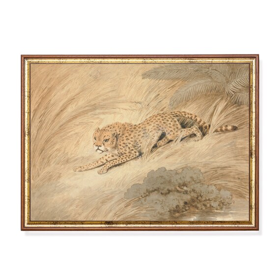 Antique Cheetah Crouching in Tall Grass Naturalist Study Poster