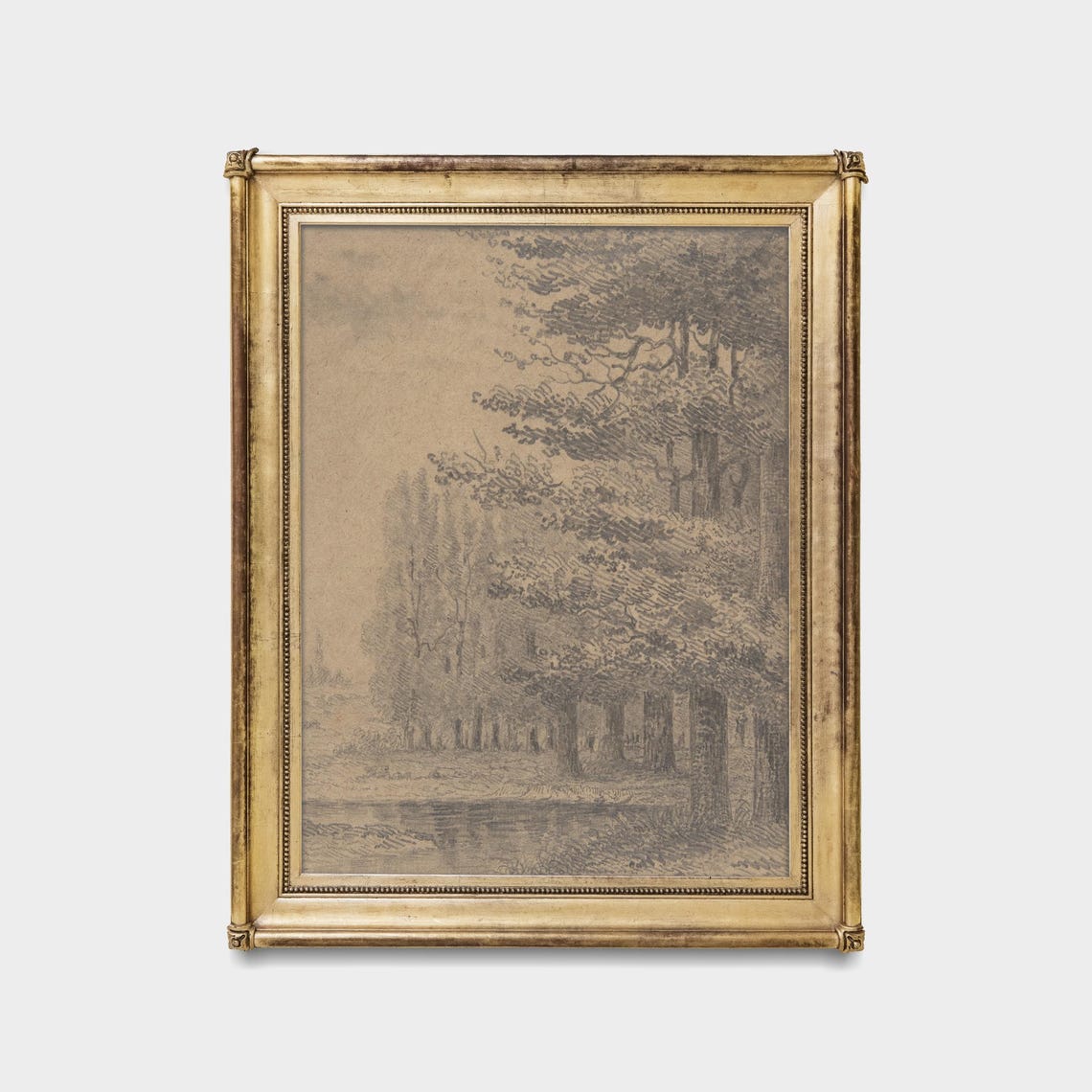 Printed And Shipped Vintage Tree Sketch Drawing Antique Sketch Print Neutral Art Forest Drawing Farmhouse Decor Physical Prints - Image 5