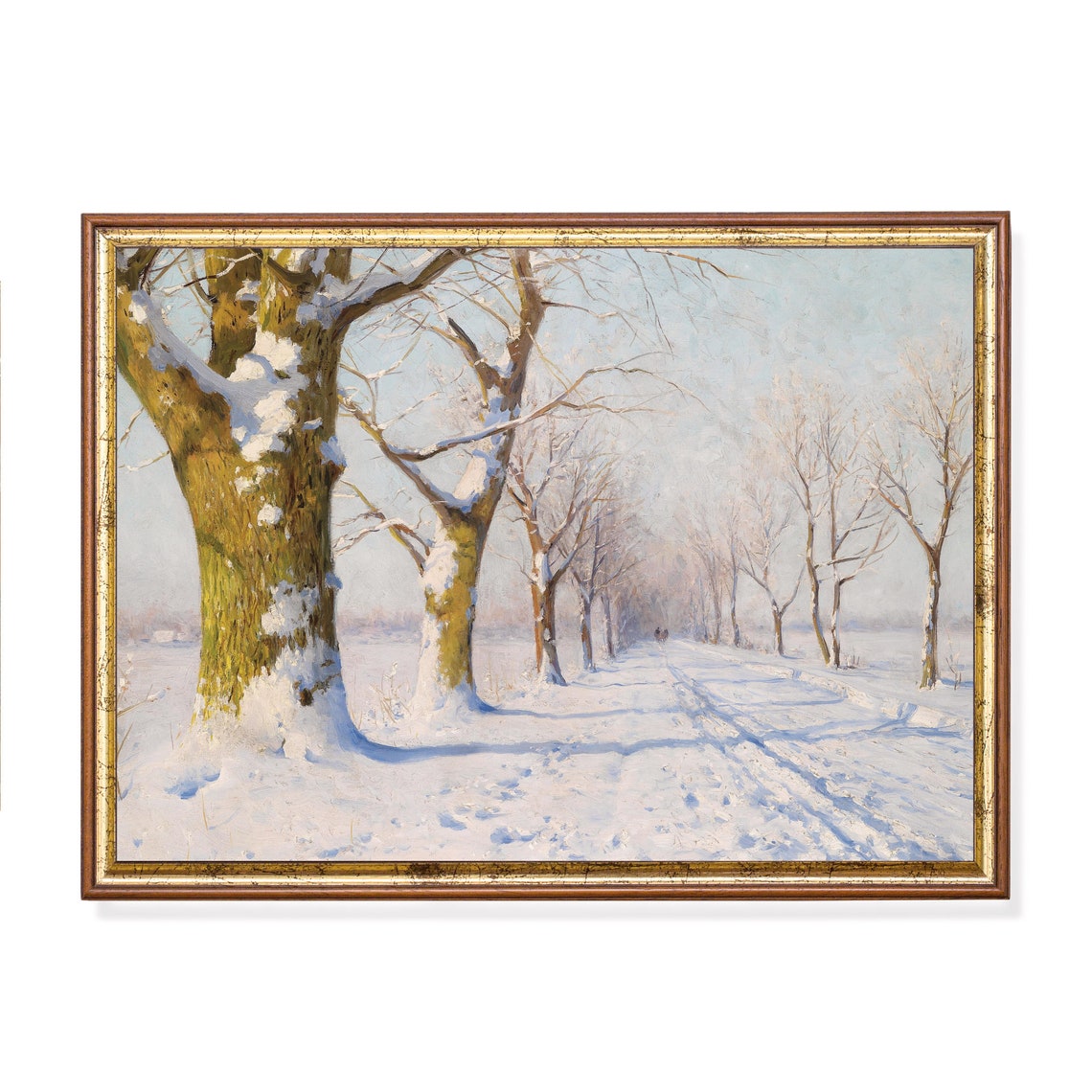 Sunlit Snowy Avenue of Tall Trees Stretching Into Distance Poster