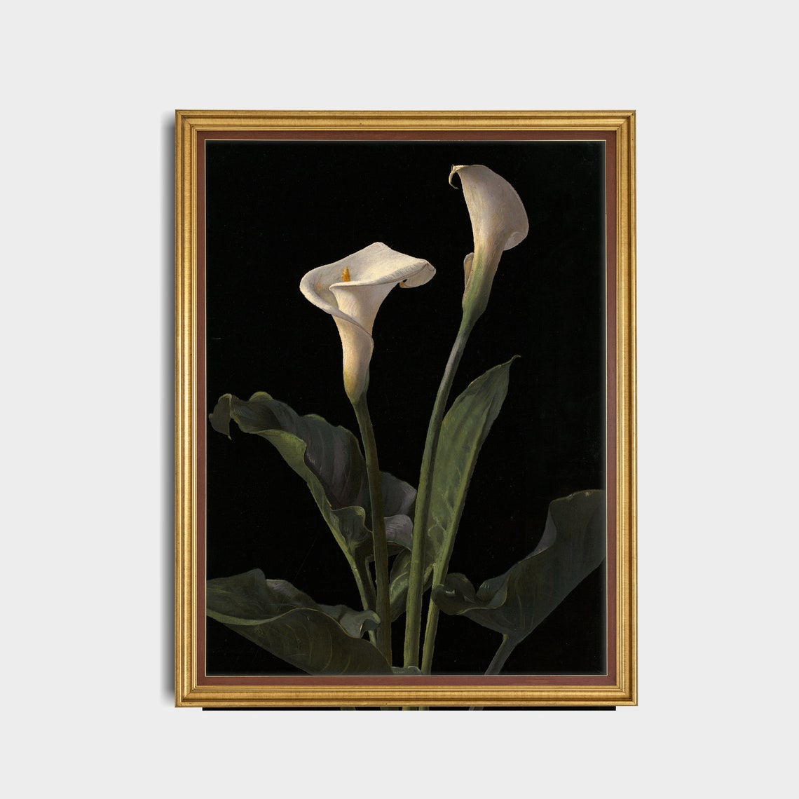 Two White Calla Lilies On Black Background Elegant Floral Art Poster - Image 5