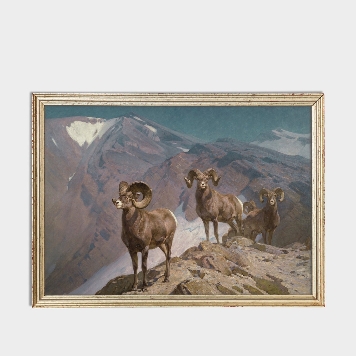 Bighorn Sheep Rams On A Rocky Mountain Ridge Painting Poster - Image 3