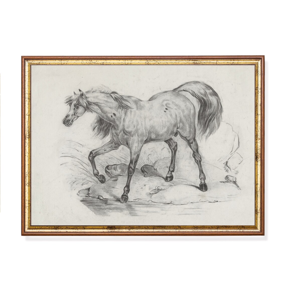 Vintage Horse Sketch Art of an Arabian Horse by the Water Poster