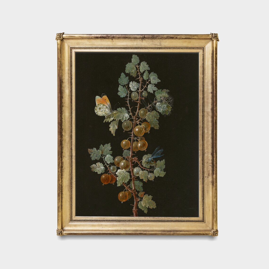 Gooseberry Branch With Butterfly and Dragonfly Botanical Poster - Image 2