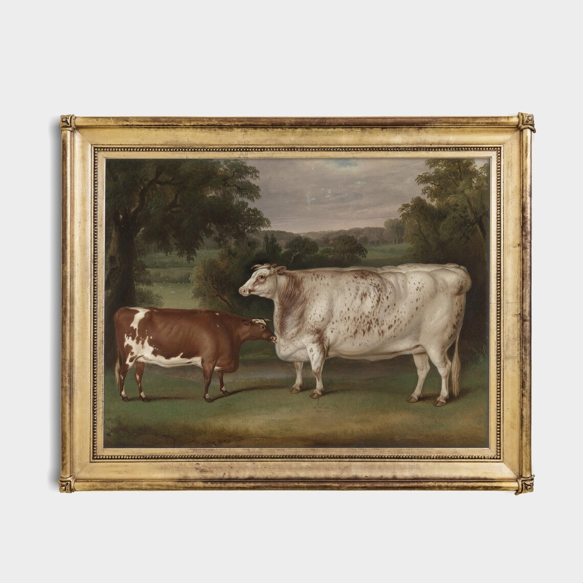 Vintage Cattle Painting, Farmhouse Rustic Art Print - Image 4
