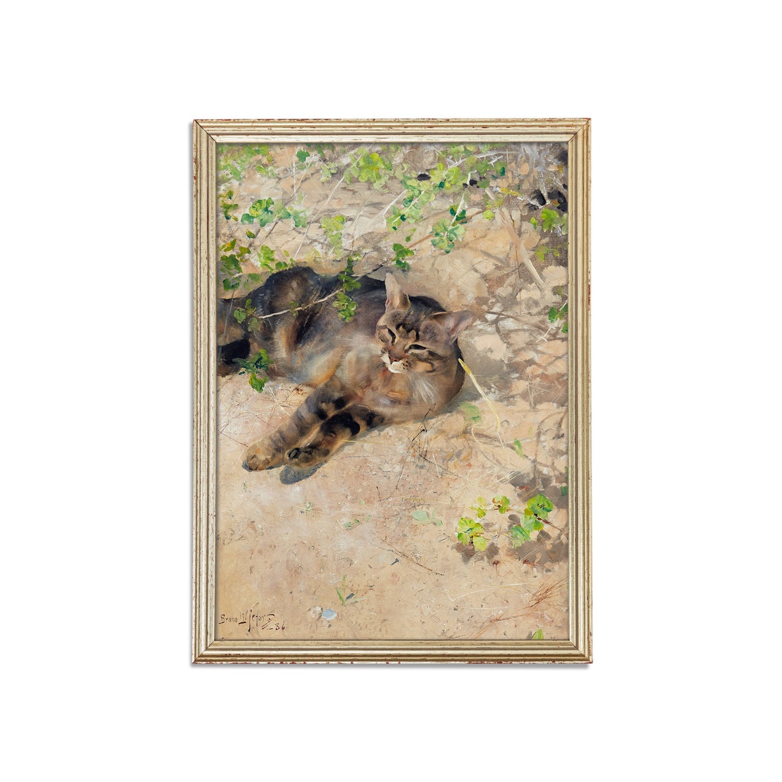 Sleeping Tabby Cat Lounging in Dappled Garden Sunlight Poster - Image 3