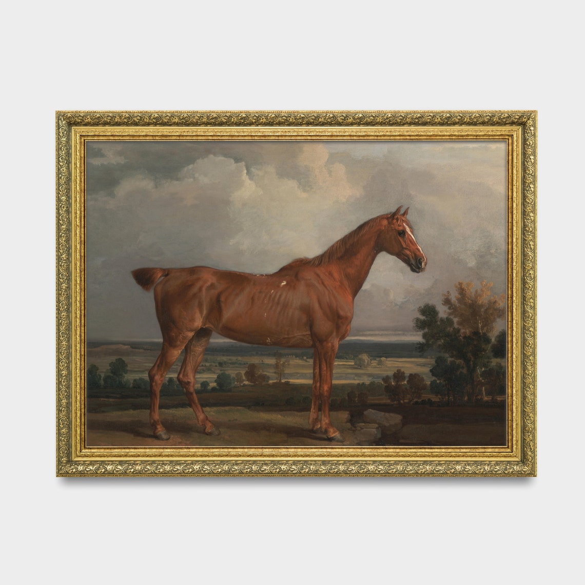 Chestnut Horse Standing Proudly Under a Stormy Cloudy Sky Poster - Image 3