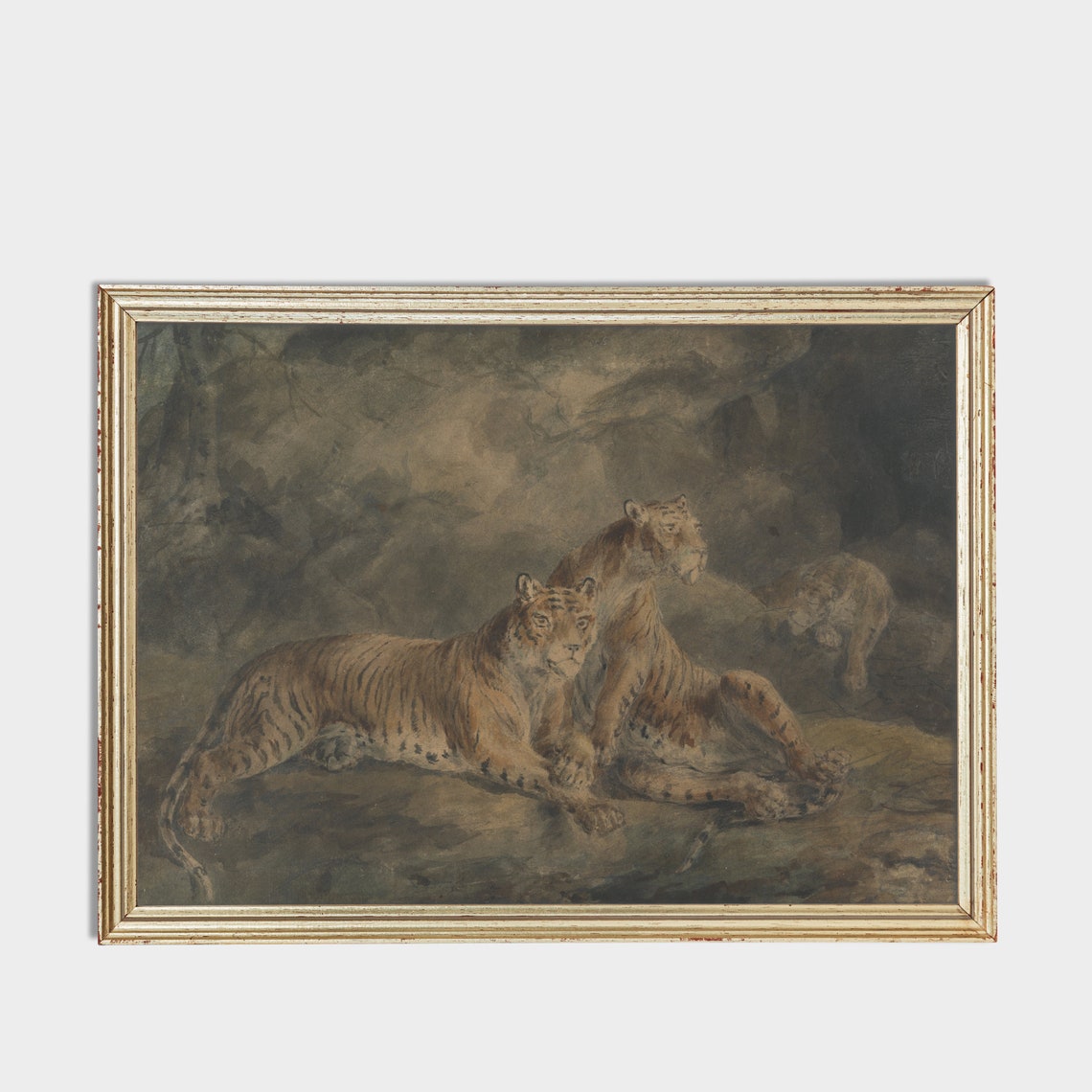 Two Tigers Resting Together on Rocks in a Dark Forest Poster - Image 3