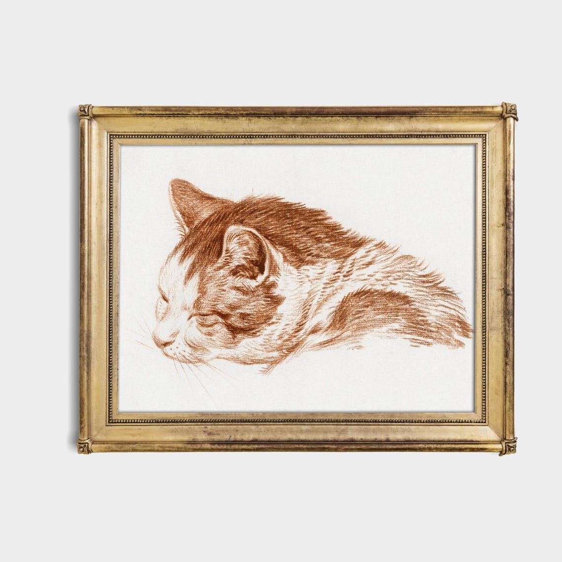 Sleeping Cat Head Study in Warm Red Chalk Vintage Sketch Poster - Image 4