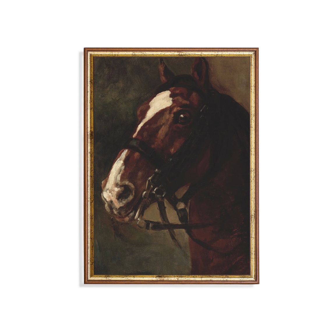 Chestnut Horse Head With White Blaze On Dark Ground Equestrian Poster