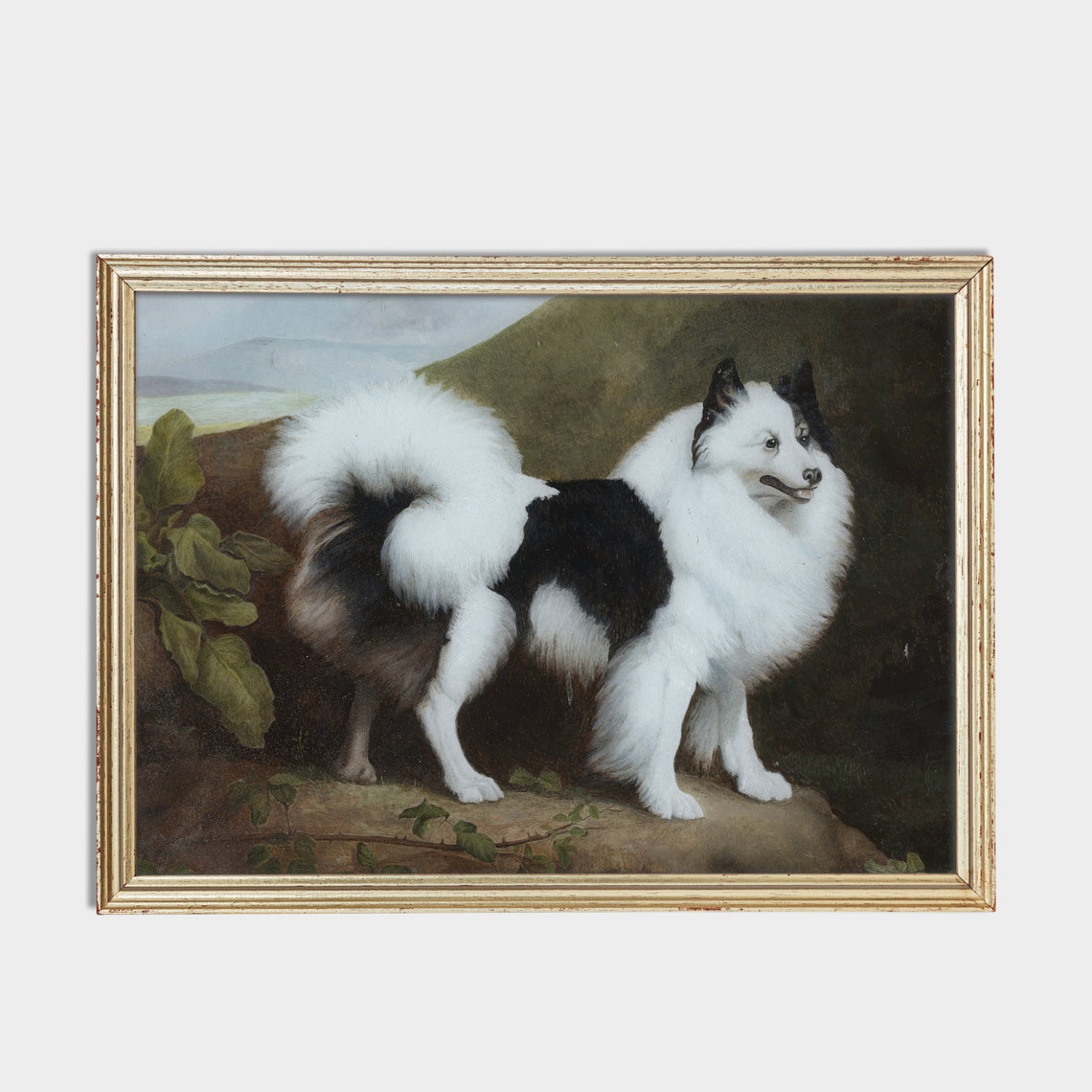 Fluffy Black and White Spitz Dog Standing on a Rock Portrait Poster - Image 4