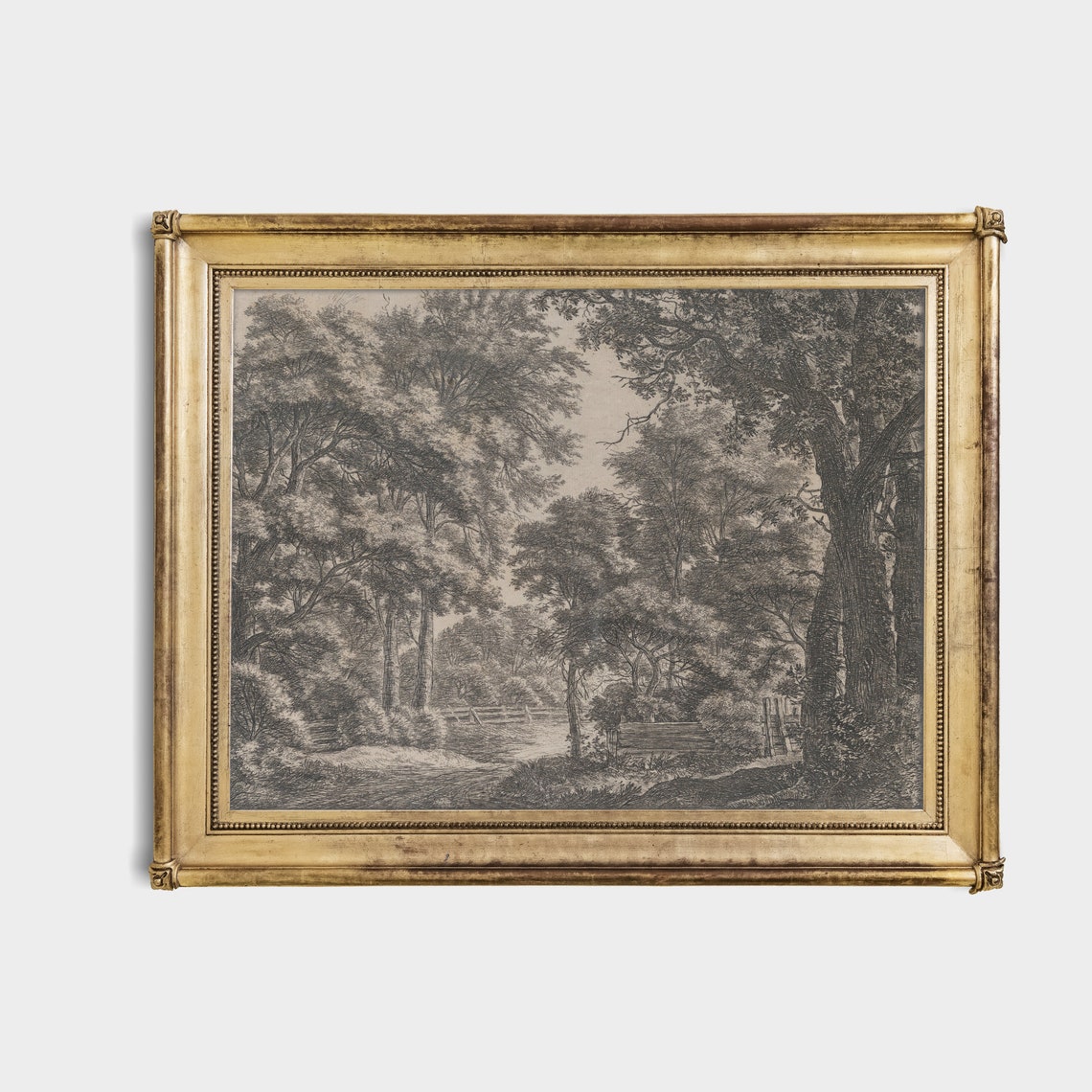 Monochrome Forest Sketch of Tall Trees Charcoal Etching Poster - Image 4