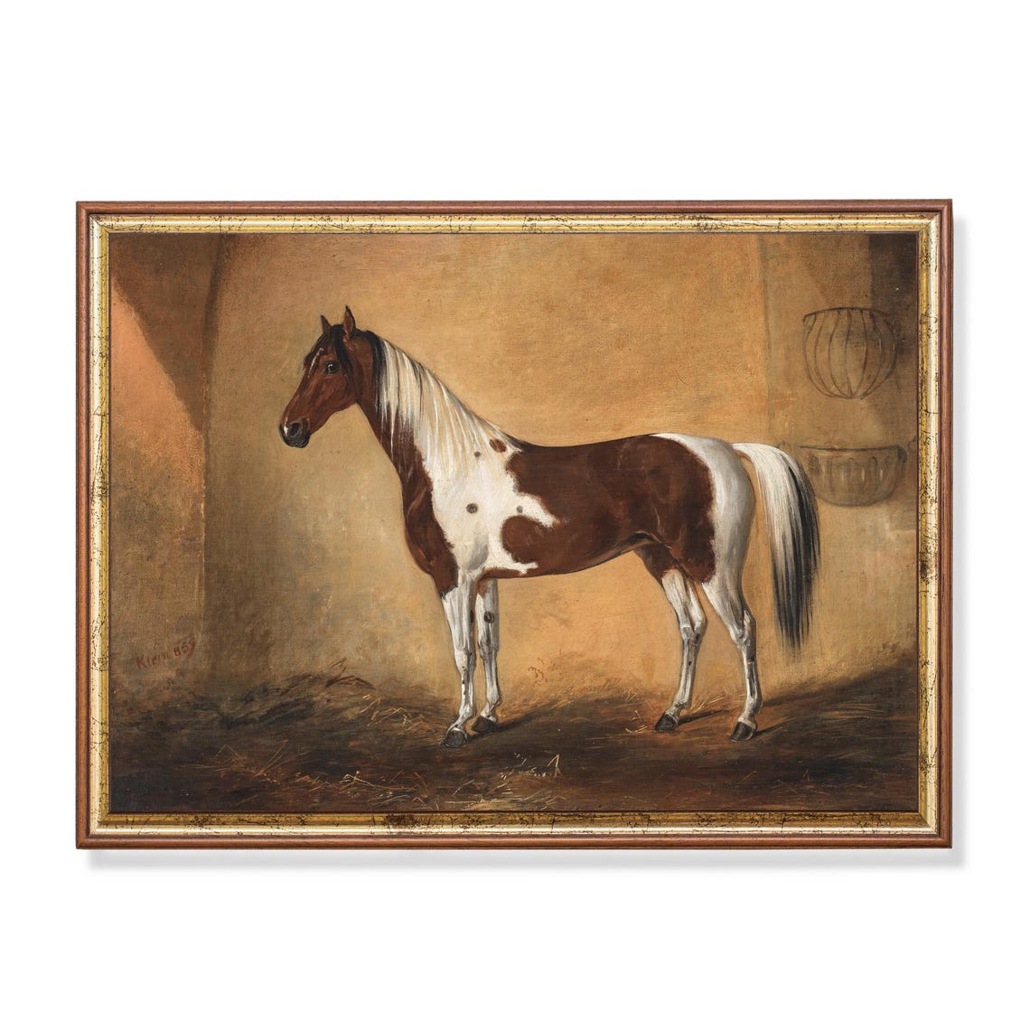 Brown and White Pinto Horse Standing in a Stable Vintage Poster
