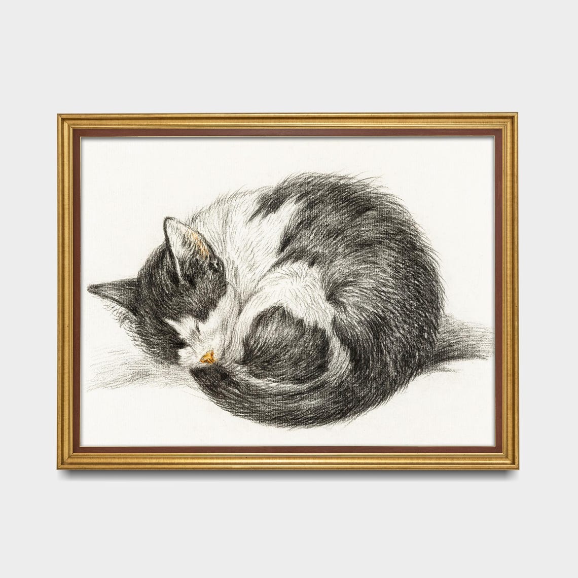 Sleeping Tabby Cat Curled in a Ball Vintage Graphite Sketch Poster - Image 5
