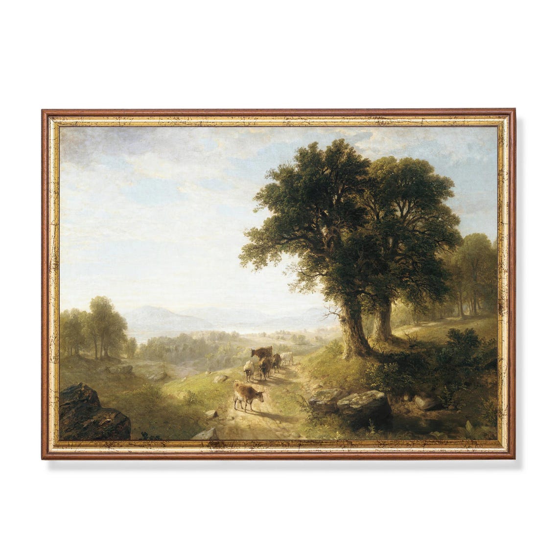 Cattle on a Mountain Path under Ancient Oaks Landscape Poster