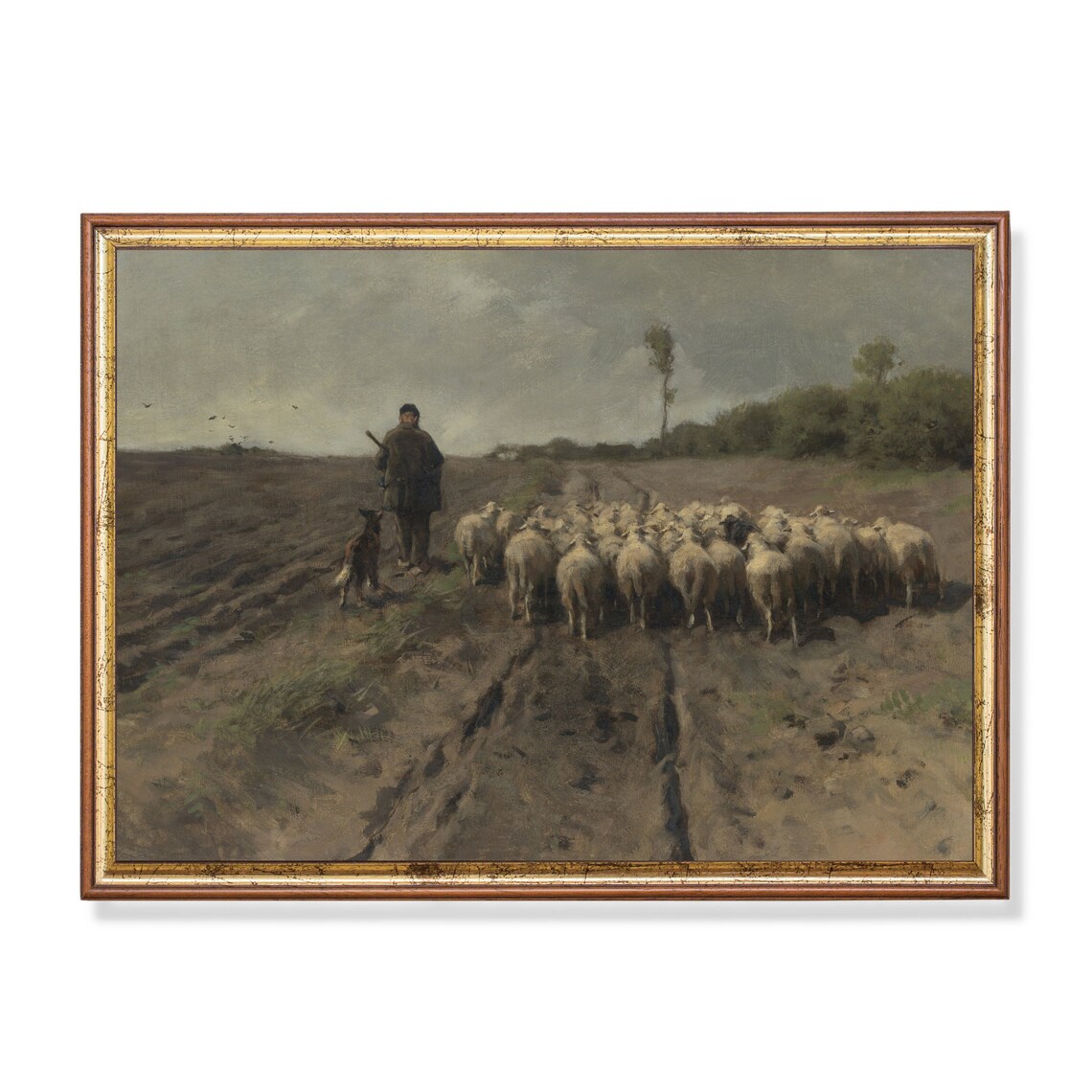 Shepherd With Sheep Flock And Dog Vintage Pastoral Art Poster