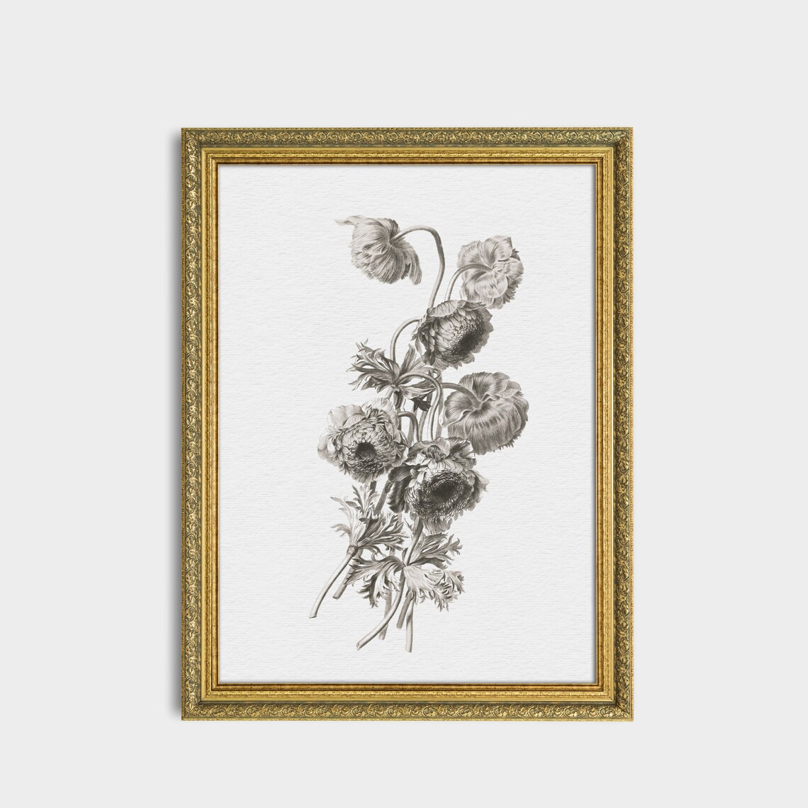 Monochrome Botanical Sketch of Anemone Flowers Antique Poster - Image 2