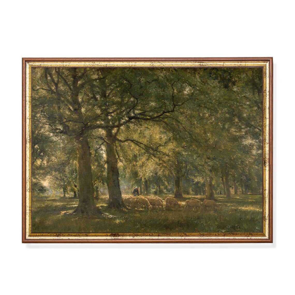 Sheep Grazing in a Sunlit Forest Clearing Vintage Painting Poster