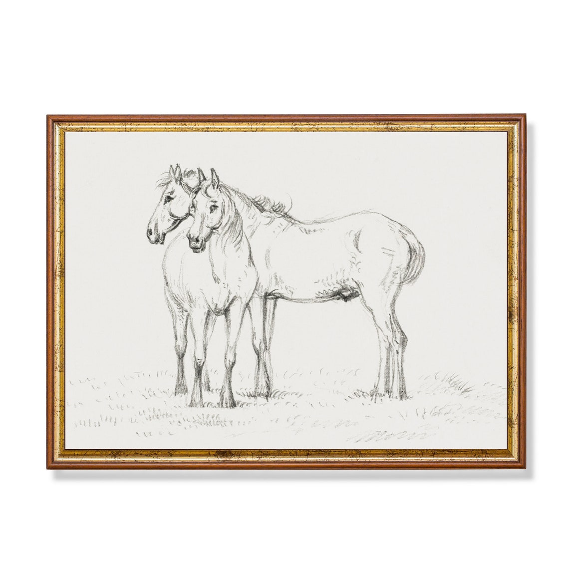 Two Horses Standing Together Antique Pencil Sketch Drawing Poster