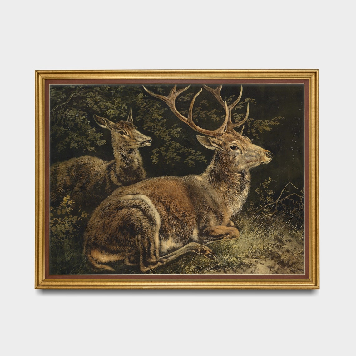 Resting Stag and Hind in a Dark Forest Clearing Vintage Deer Poster - Image 3