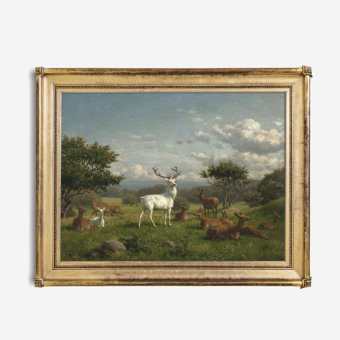White Stag with Deer Herd in Sunlit Meadow Antique Wildlife Poster - Image 2
