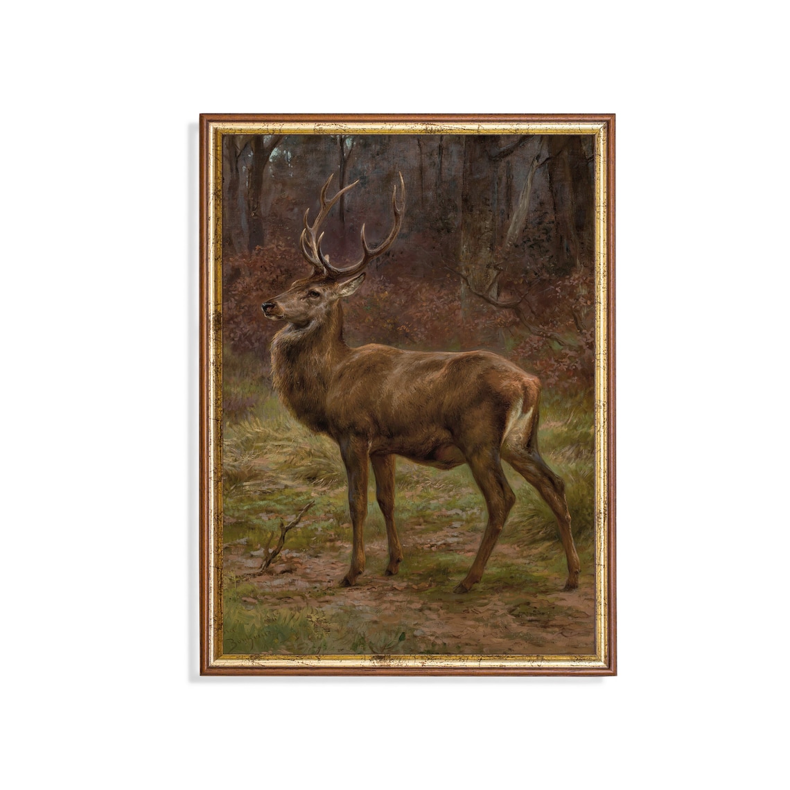 Majestic Red Deer Stag With Grand Antlers in the Forest Poster
