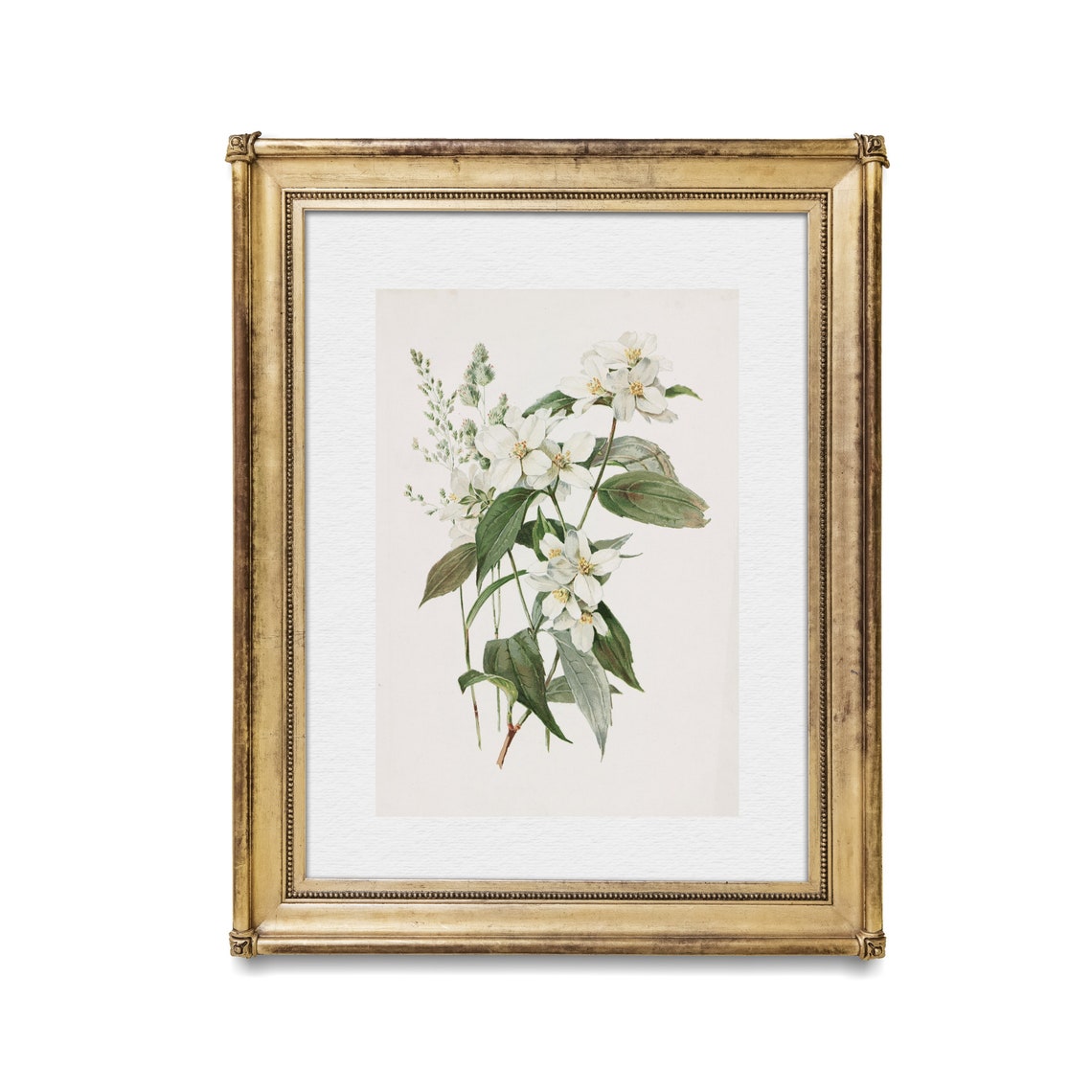 Vintage Botanical Print Antique Flower Art Wall Art Farmhouse French Country Decor Floral Painting - Image 4