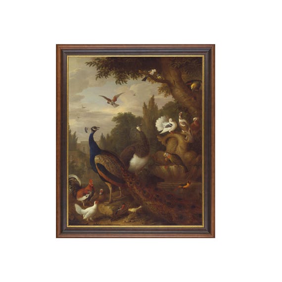 Printed And Shipped Vintage Bird Painting Antique Birds Print Moody Rustic Art Bird Lover Gift Peacock Peahen Parrots And Canary