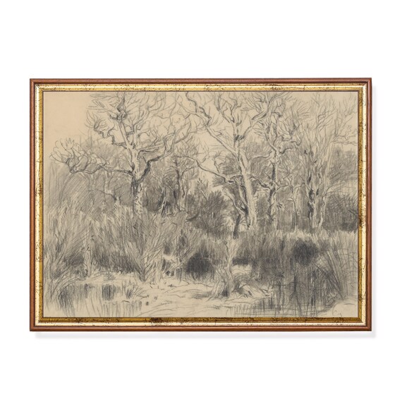 Printed And Shipped Vintage Tree Drawing Print Trees In A Thicket Sketch Art Retro Nature Wall Art Decor Antique Landscape Print