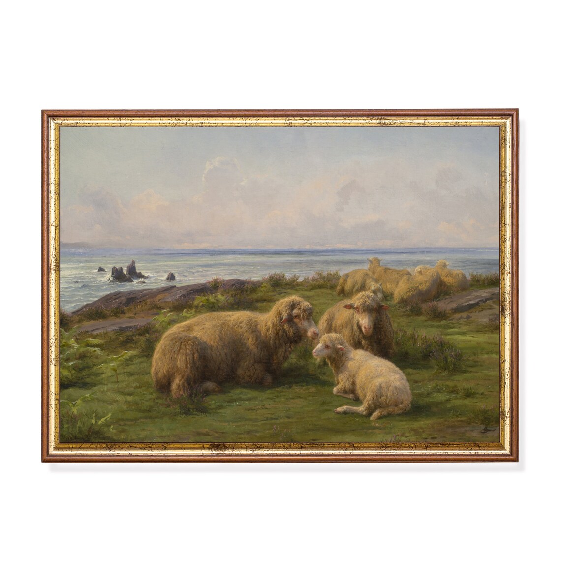 Vintage Sheep by the Sea Art Print, Rustic Landscape