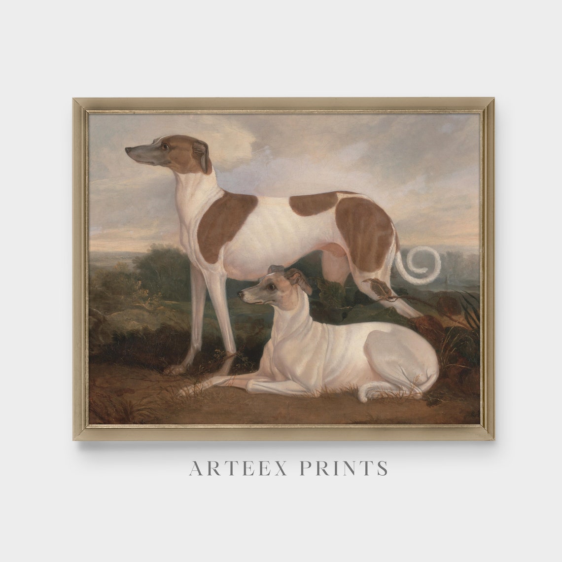 Printed And Shipped Vintage Dogs Painting Antique Animal Art Moody Painting Farmhouse Decor 18th Century Art Physical Prints - Image 3