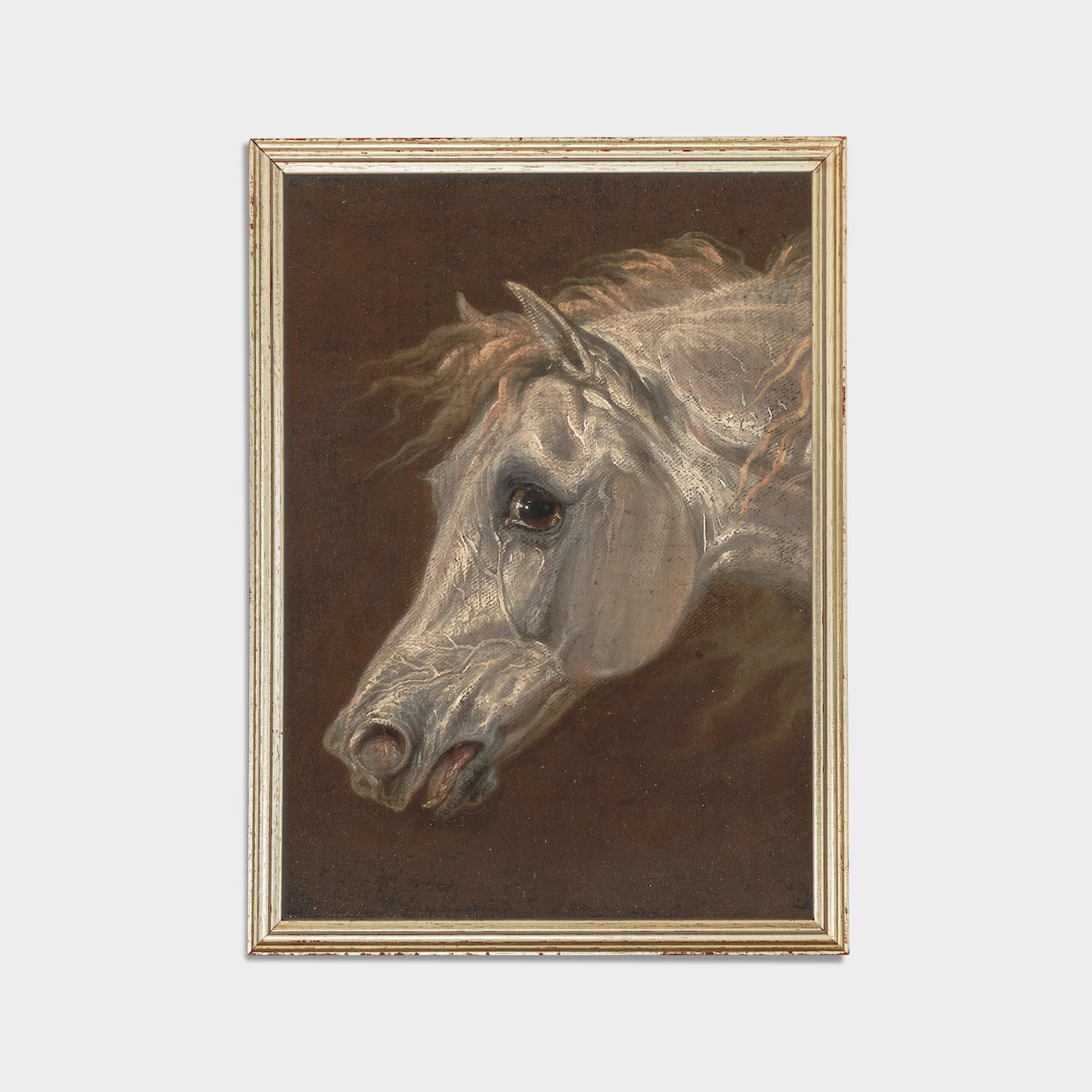 Dramatic Vintage Study of a White Horse Head on a Dark Brown Poster - Image 3
