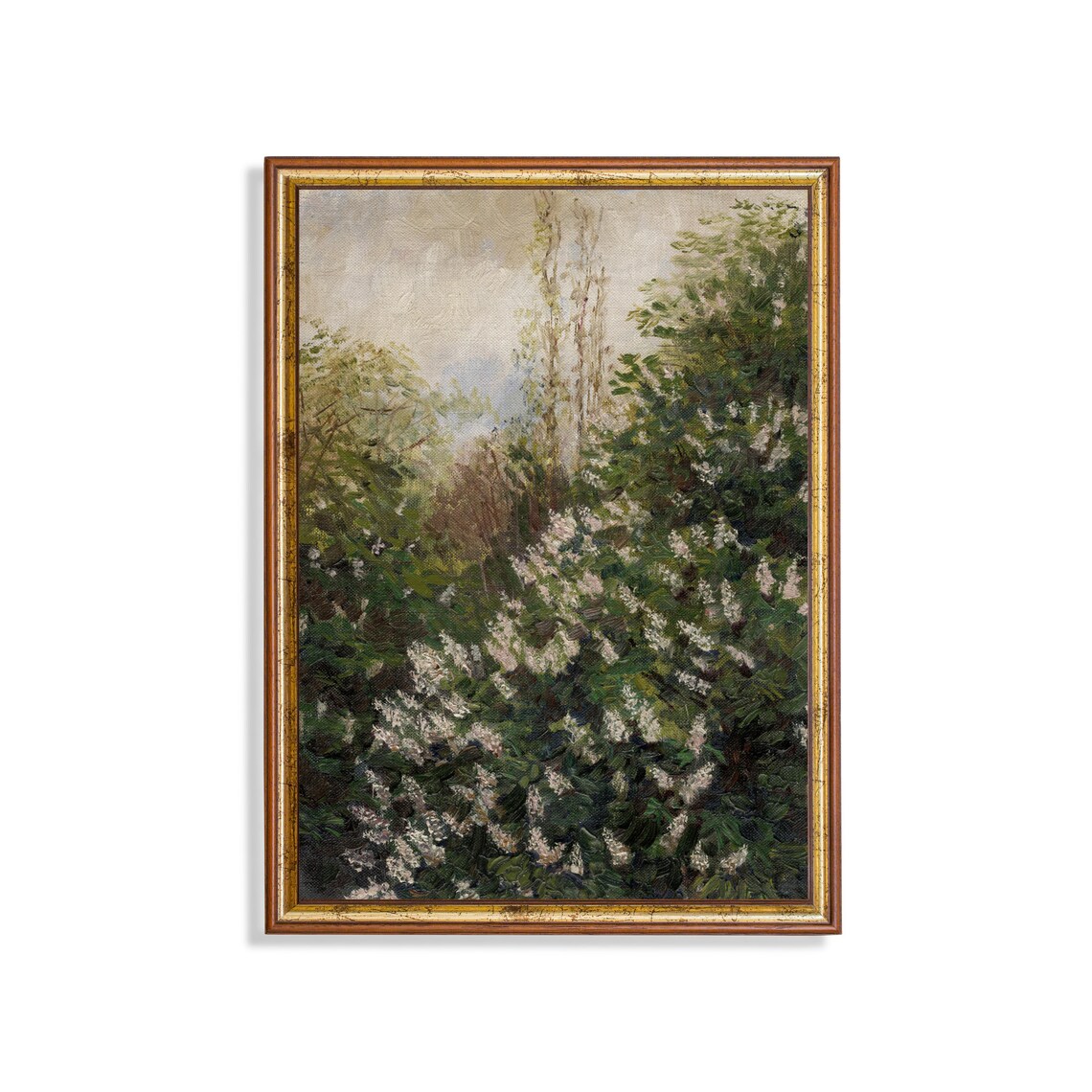 Flowering Lilac Bushes in Lush Spring Garden Vintage Botanical Poster