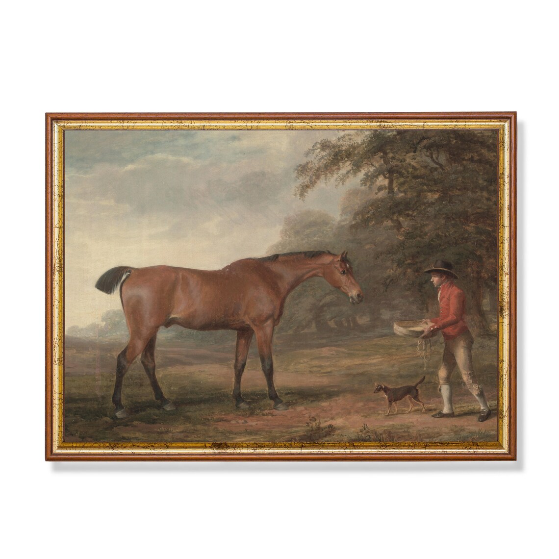 Bay Horse Fed by a Groom in Red Coat Vintage Equestrian Poster