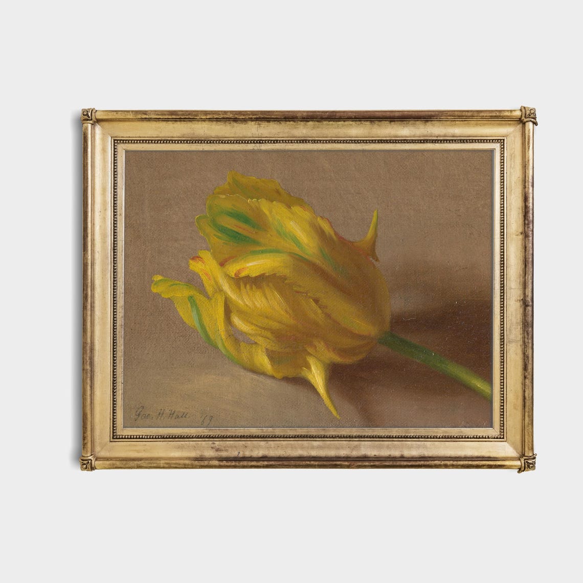 Single Golden Yellow Tulip Bloom Botanical Still Life Study Poster - Image 4