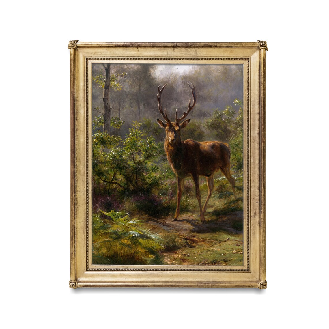 Red Deer Stag in a Forest Clearing Vintage Animal Painting Poster - Image 2