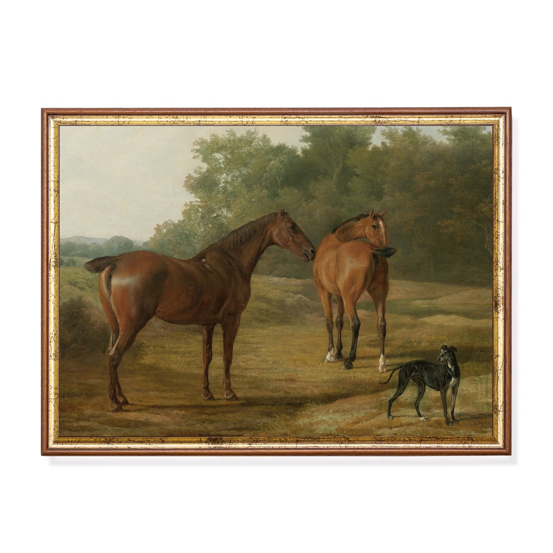 Two Bay Horses with a Black Greyhound in a Pasture Equestrian Poster