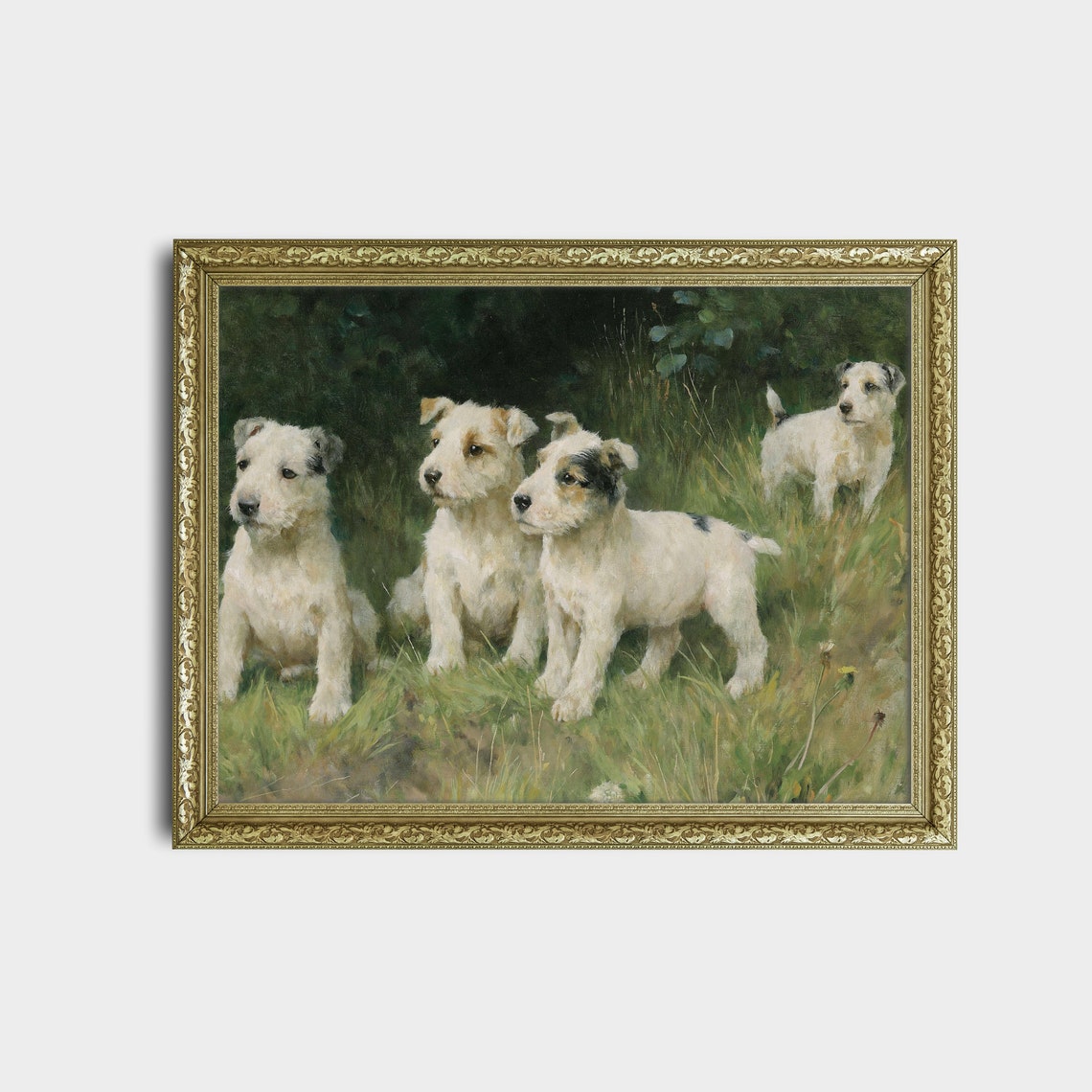 Four White Terrier Puppies Playing in a Summer Meadow Poster - Image 2